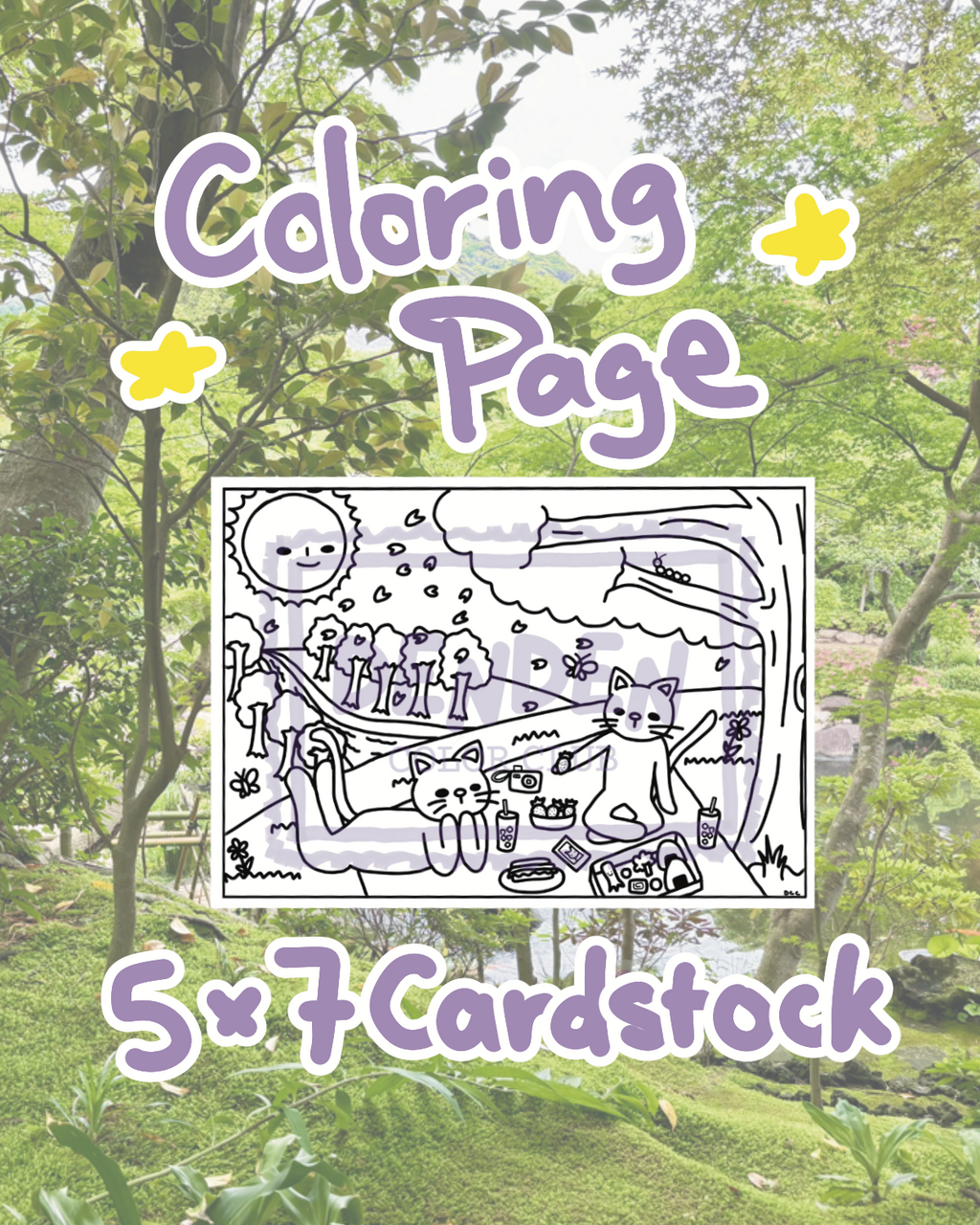 DenDen Color Club Monthly Mail Subscription